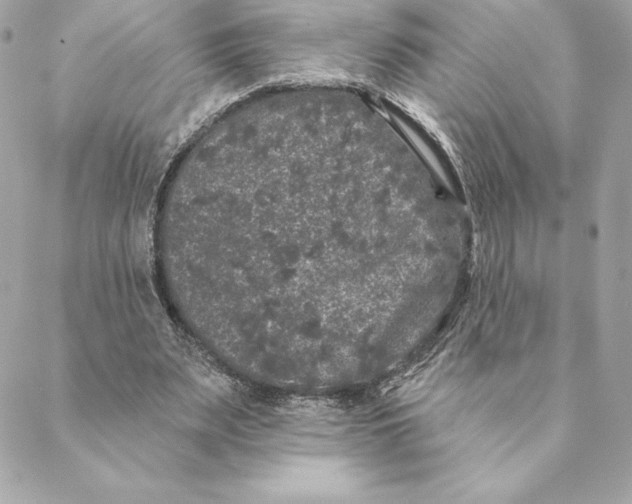 X0000088570487200706151650