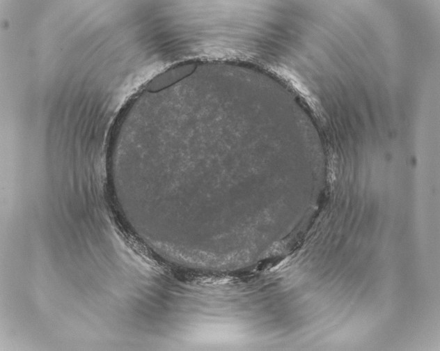 X0000088570488200706151650