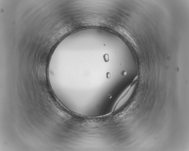 X0000088570489200706151650