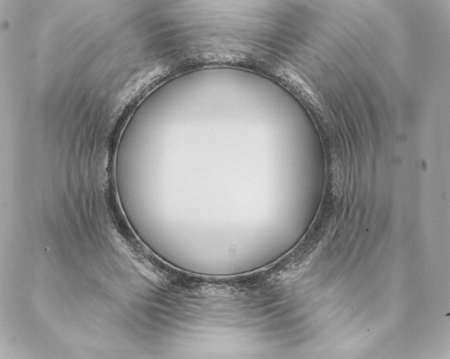 X0000088570490200706151650