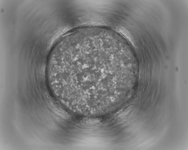 X0000088570491200706151650