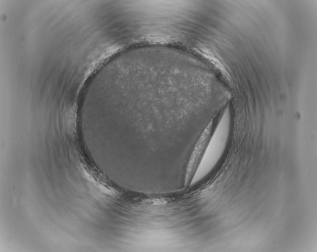 X0000088570492200706151650