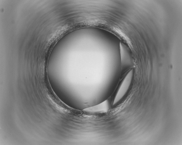 X0000088570493200706151650