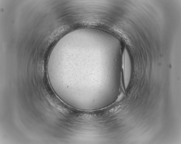 X0000088570494200706151650