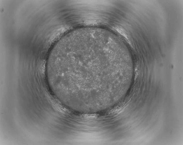 X0000088570495200706151650