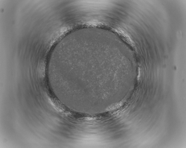 X0000088570496200706151650