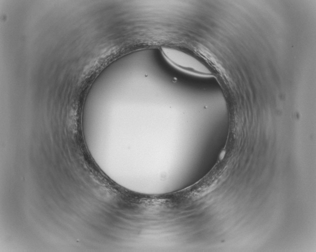 X0000088570497200706151650