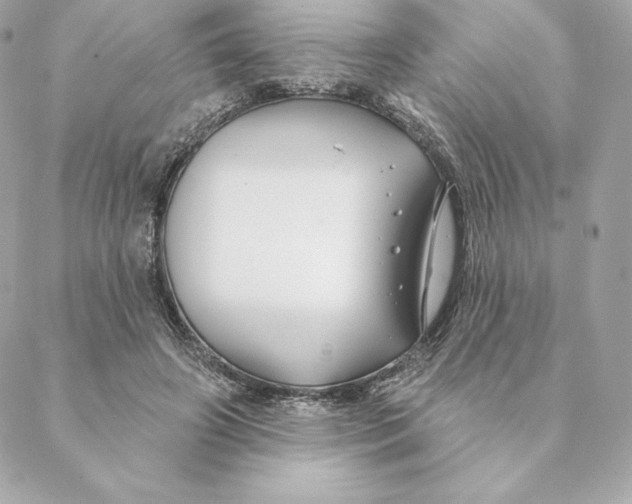 X0000088570498200706151650