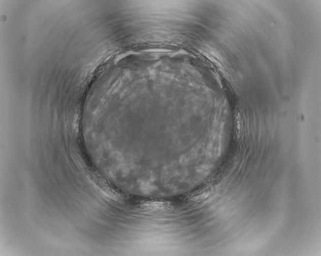 X0000088570499200706151650