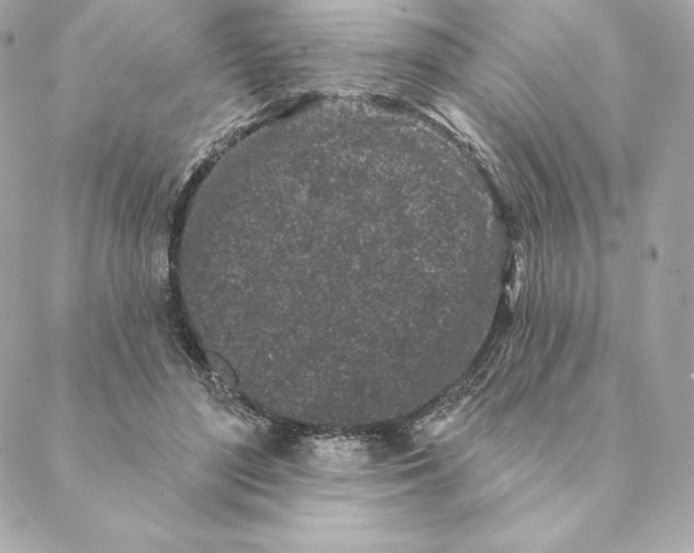 X0000088570500200706151650