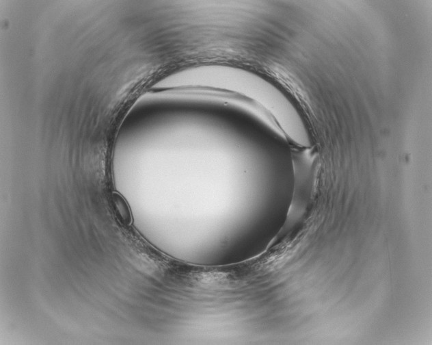 X0000088570501200706151650