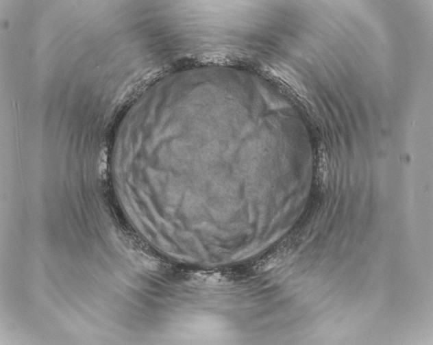 X0000088570502200706151650