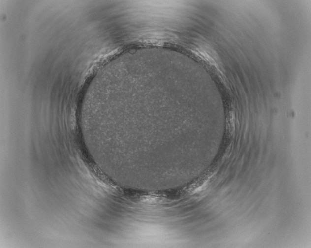 X0000088570504200706151650