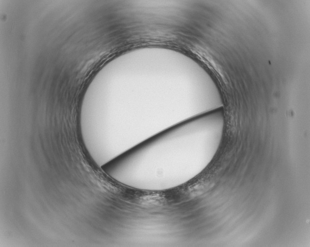 X0000088570505200706151650