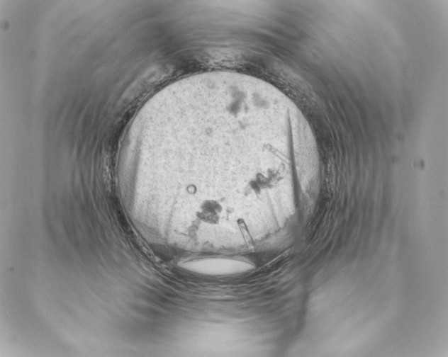 X0000088570506200706151650