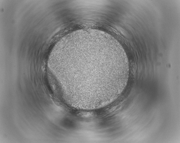 X0000088570507200706151650