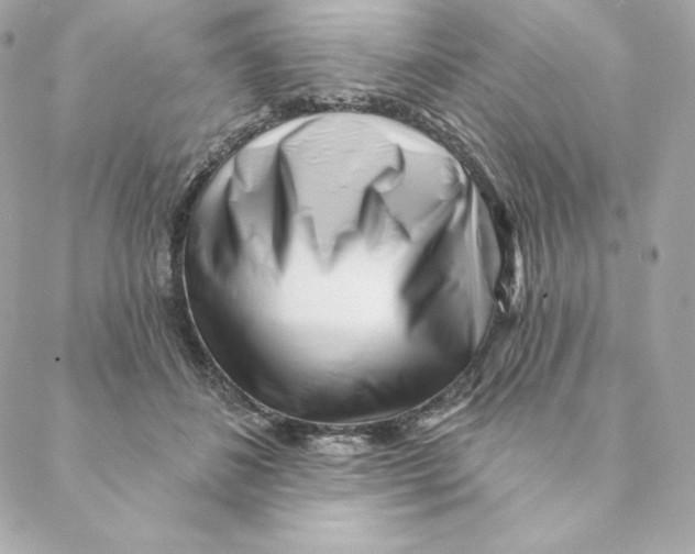 X0000088570508200706151650