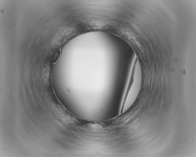 X0000088570509200706151650