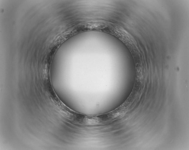 X0000088570510200706151650