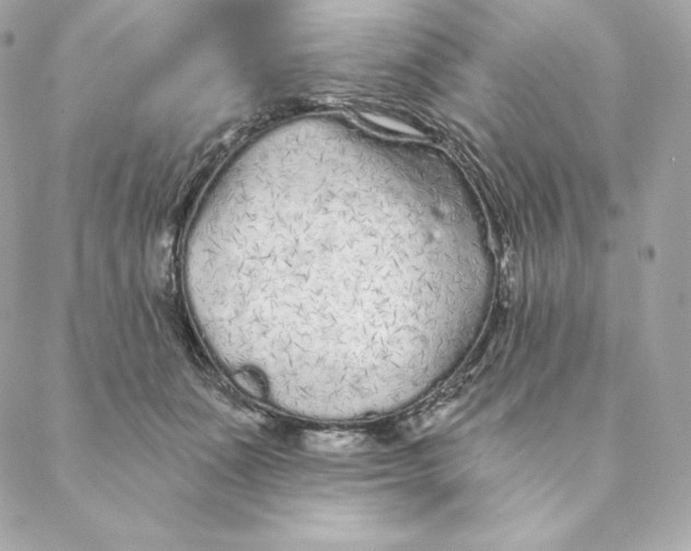 X0000088570511200706151650