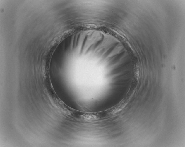 X0000088570512200706151650