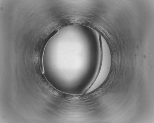 X0000088570513200706151650