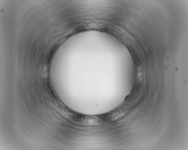 X0000088570514200706151650