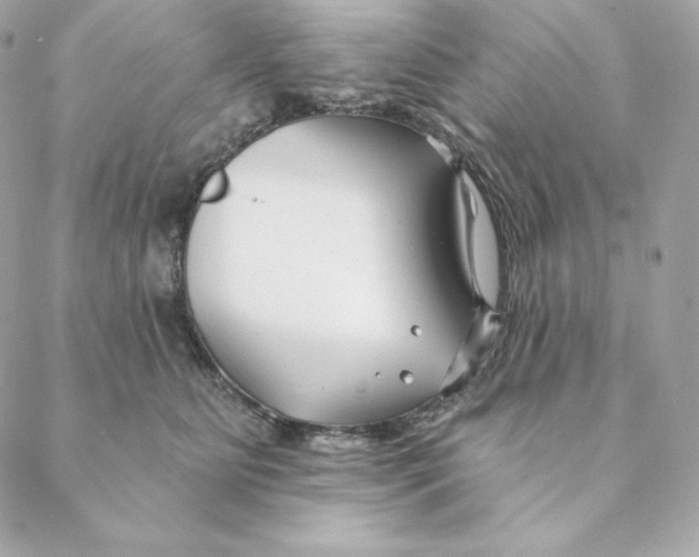 X0000088570515200706151650