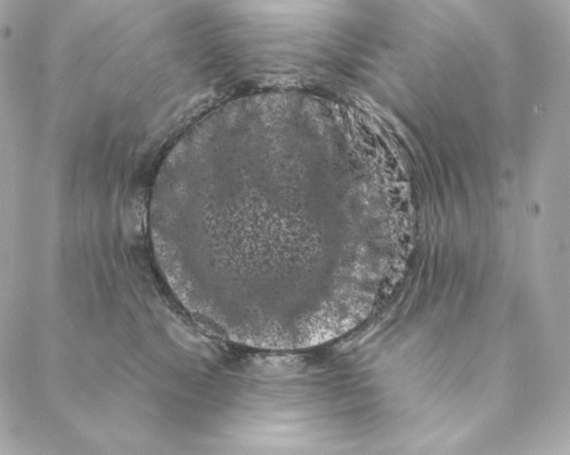 X0000088570517200706151650