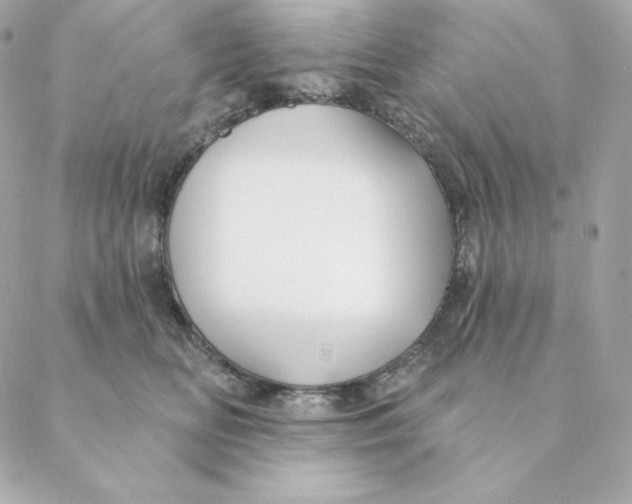 X0000088570518200706151650