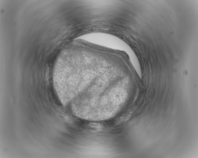 X0000088570519200706151650