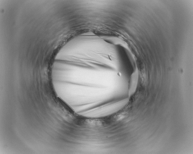 X0000088570520200706151650