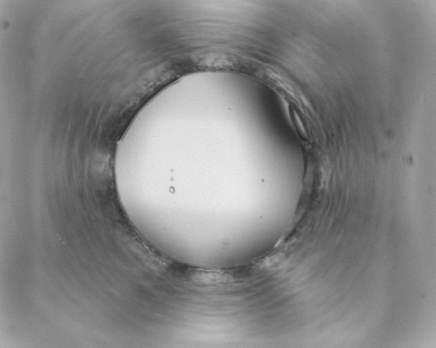 X0000088570521200706151649