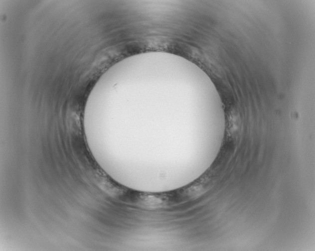 X0000088570522200706151649