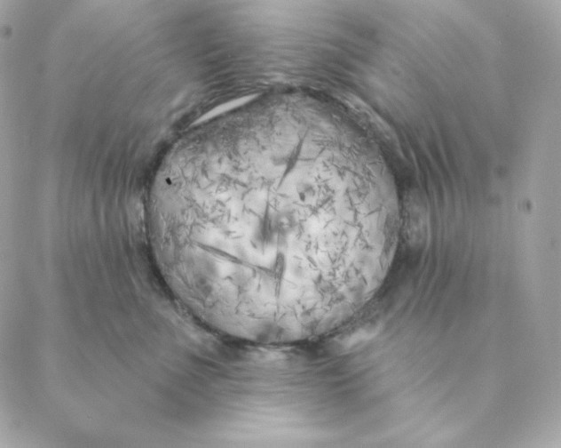 X0000088570523200706151649