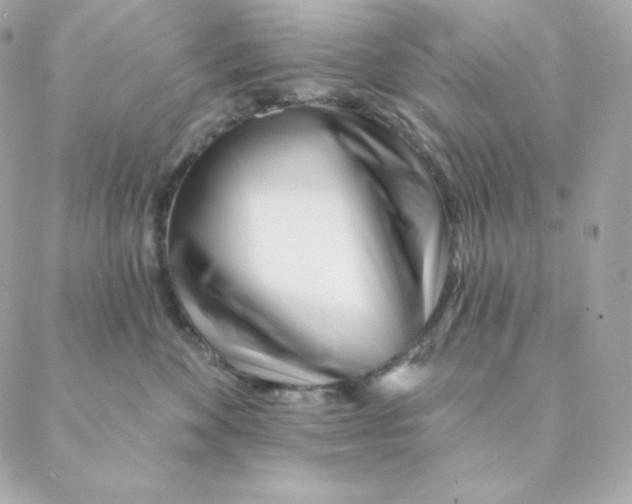 X0000088570524200706151649