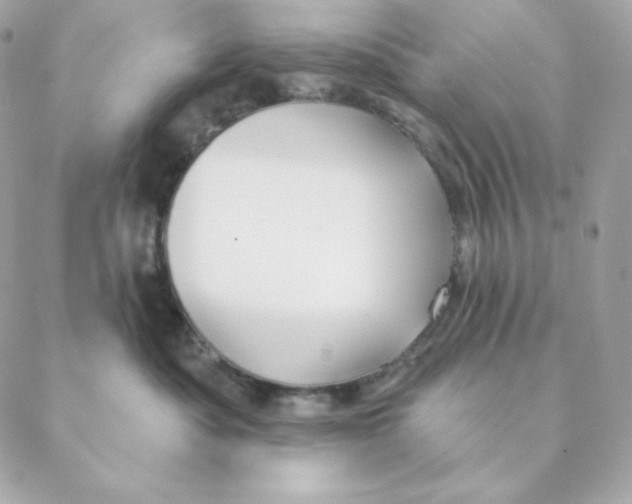 X0000088570525200706151649