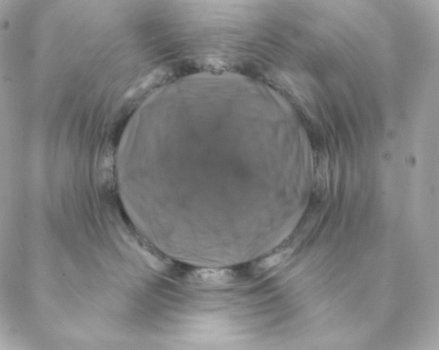 X0000088570526200706151649