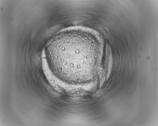 X0000088570527200706151649