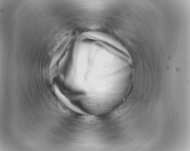 X0000088570528200706151649