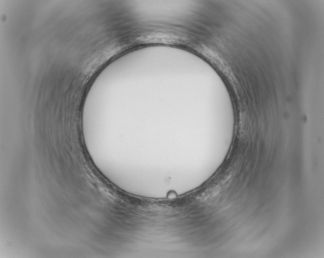 X0000088570529200706151649