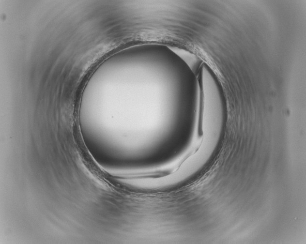 X0000088570530200706151649