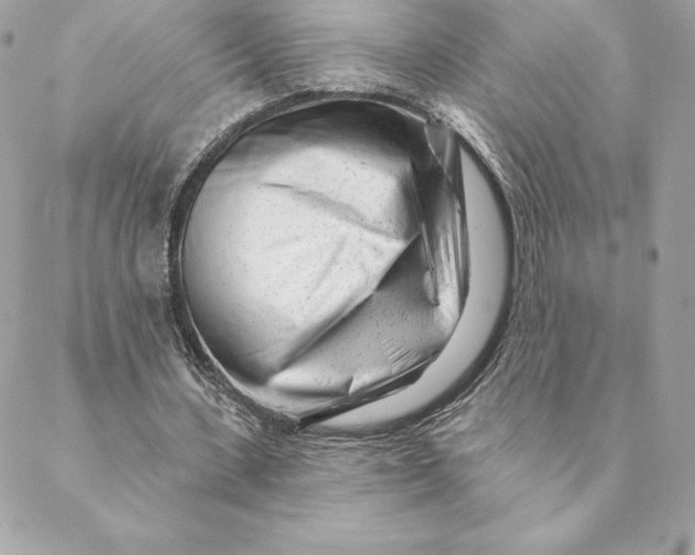 X0000088570531200706151649