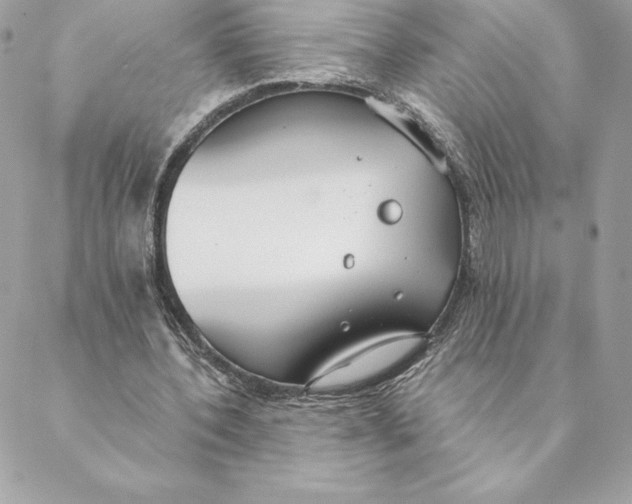 X0000088570532200706151649