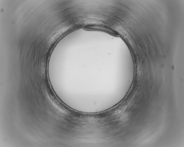 X0000088570533200706151649