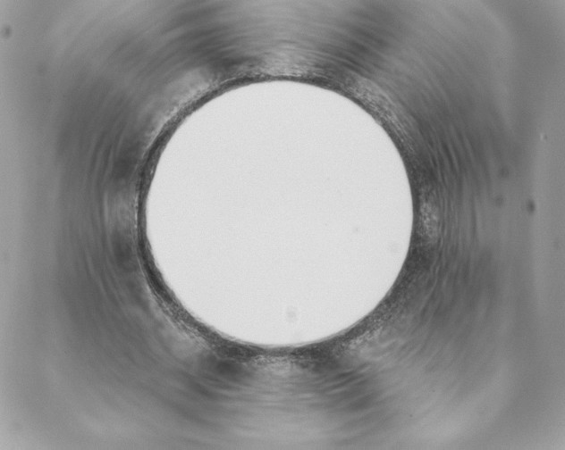 X0000088570534200706151649