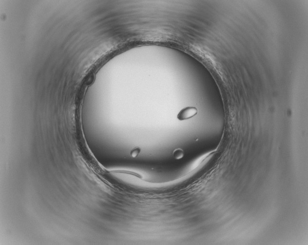 X0000088570535200706151649