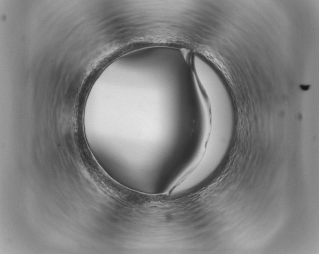 X0000088570536200706151649