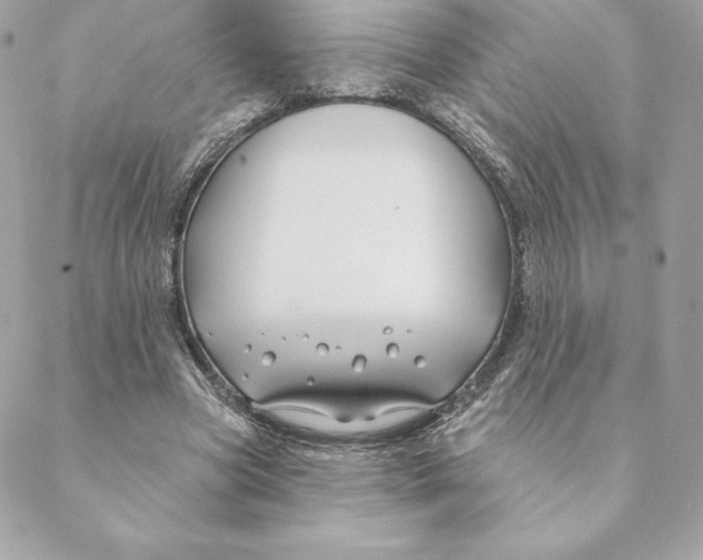 X0000088570537200706151649