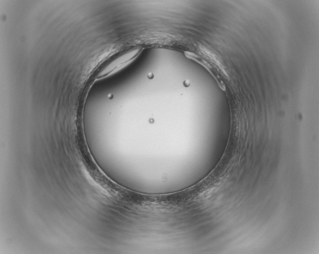 X0000088570538200706151649